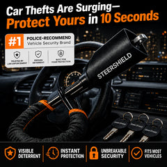 Anti-Theft Lock